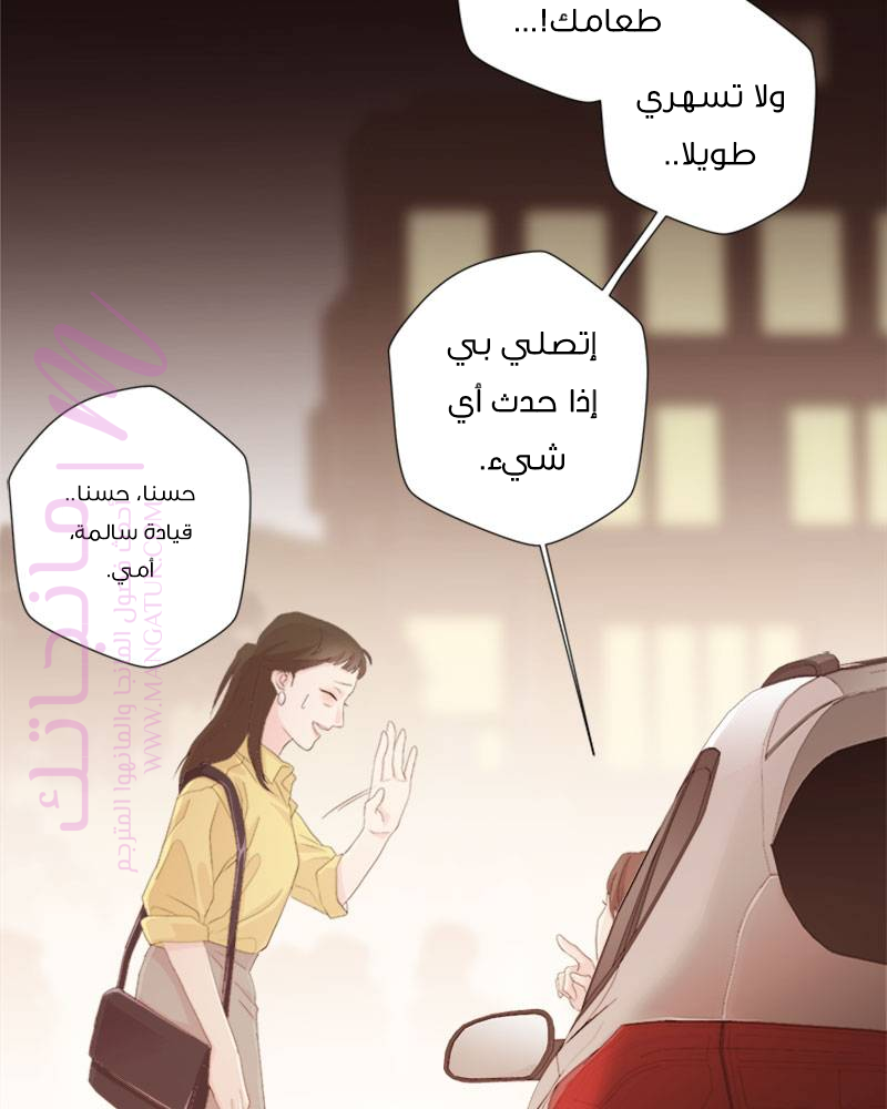 الصفحة 40
