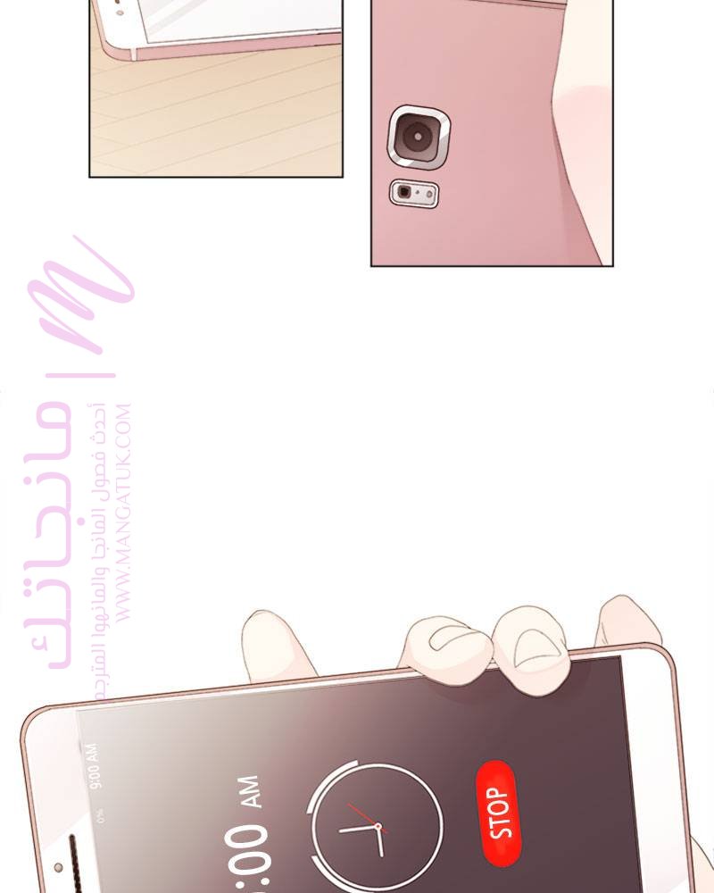 الصفحة 46
