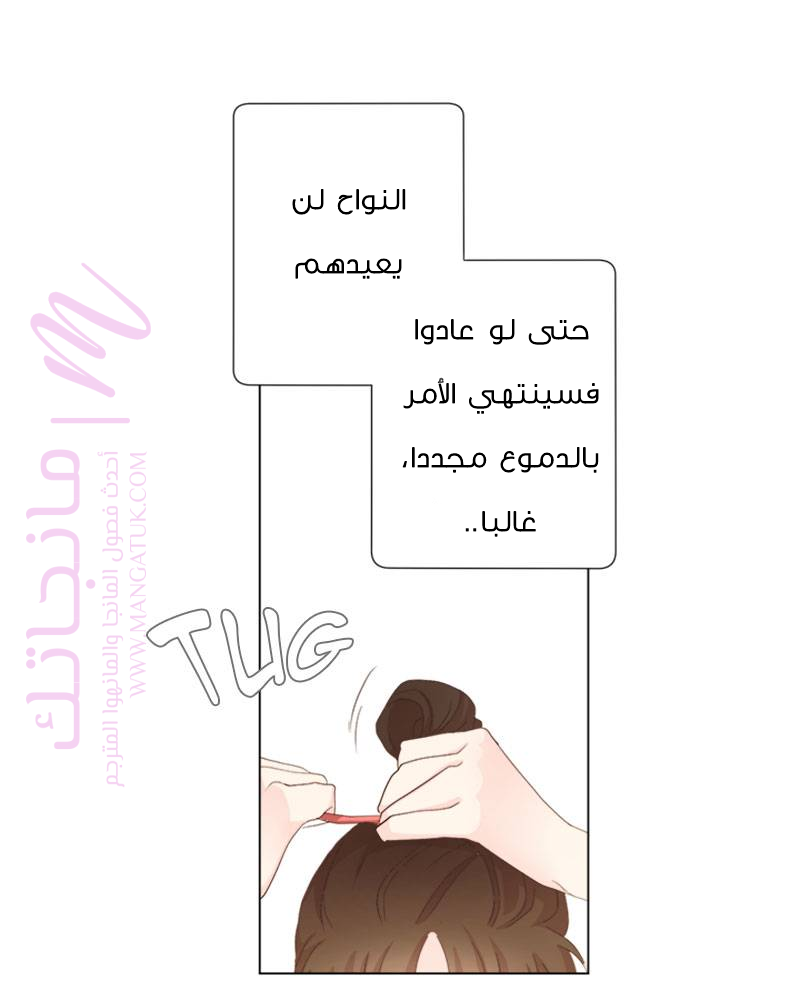 الصفحة 49