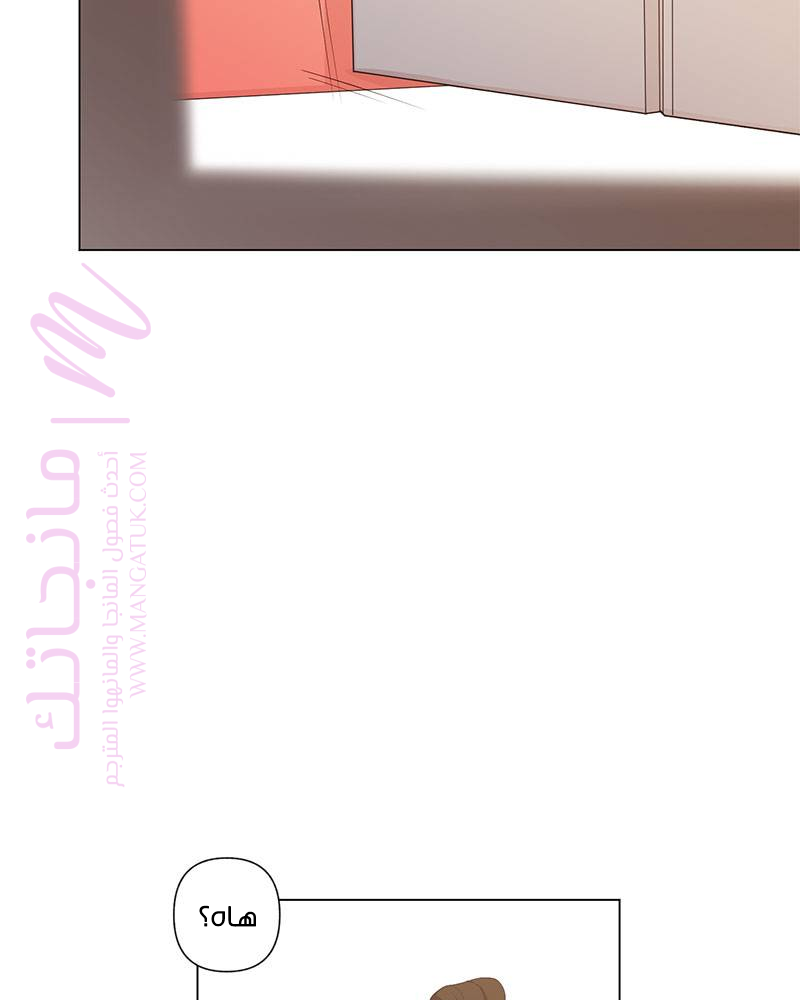 الصفحة 62