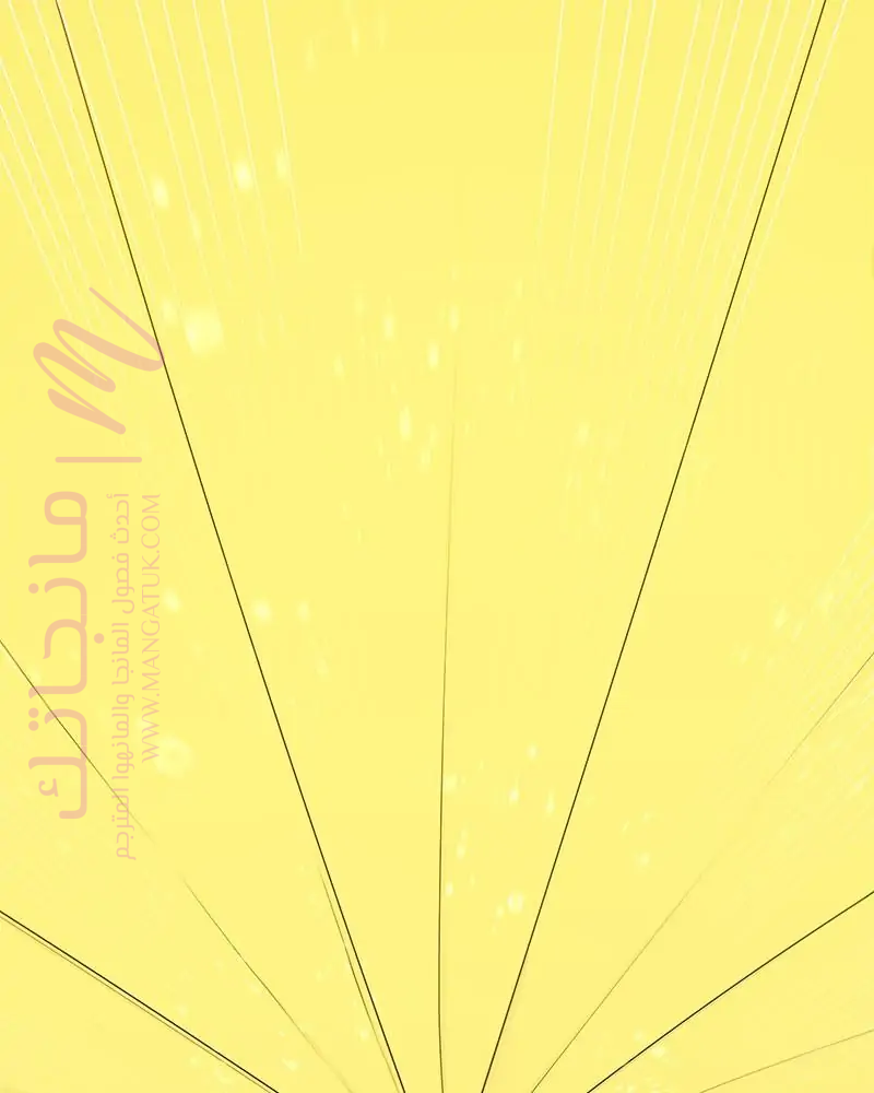الصفحة 25