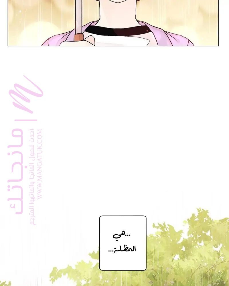 الصفحة 29