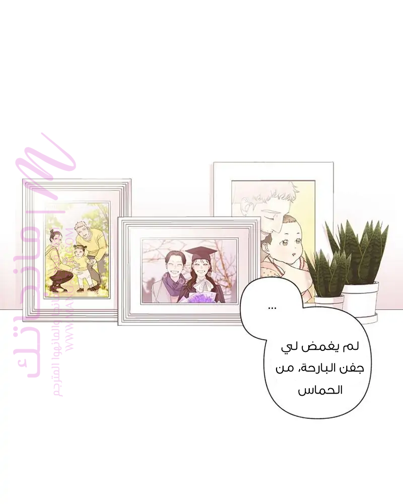 الصفحة 40