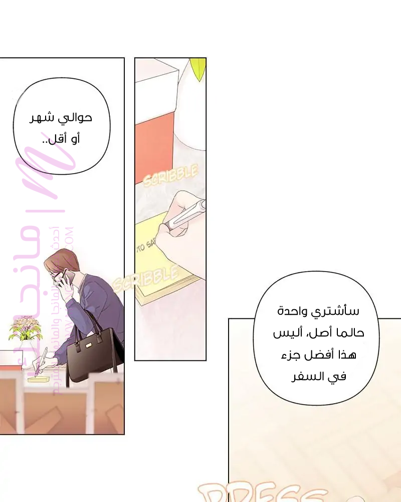 الصفحة 41