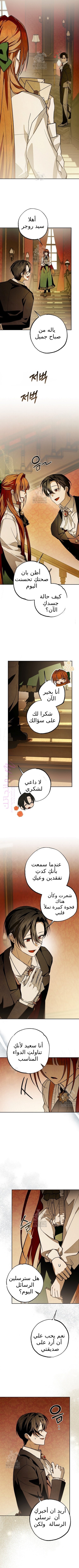 الصفحة 8