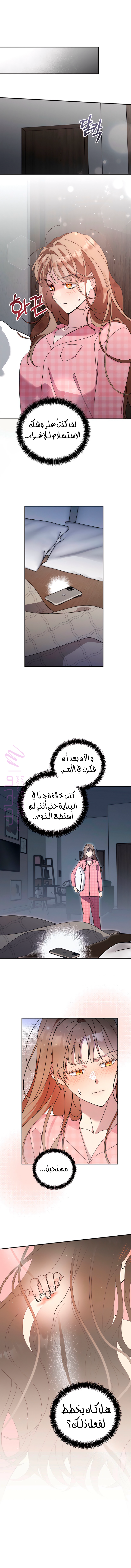 الصفحة 14