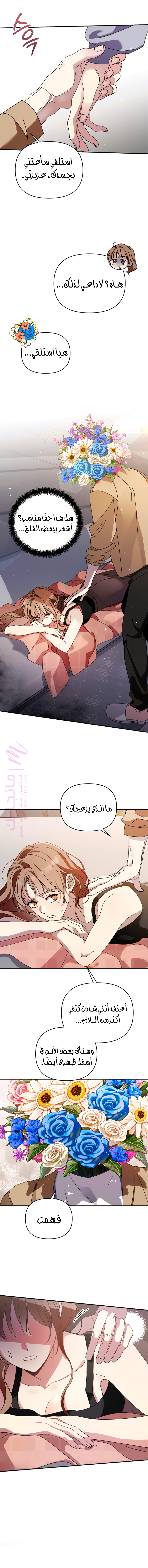 الصفحة 7