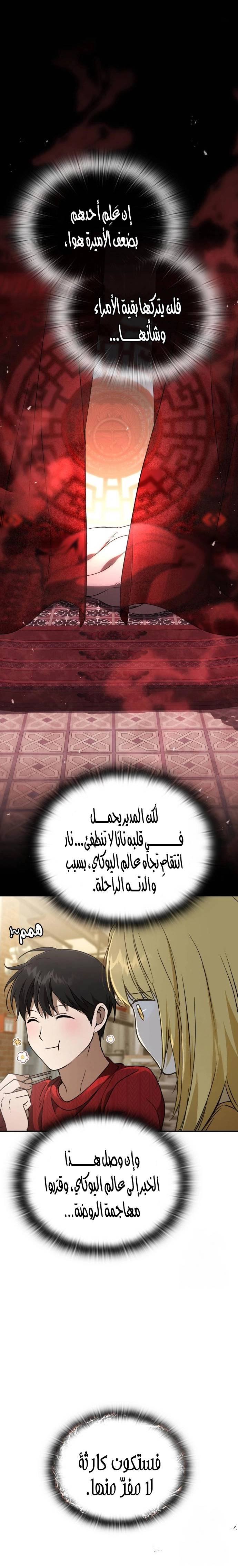 الصفحة 17