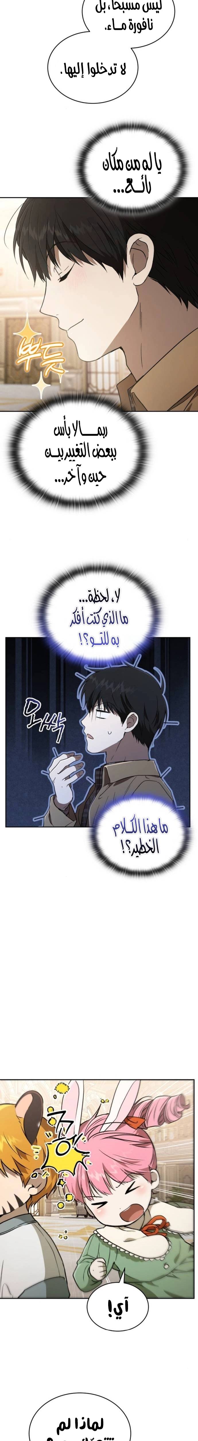الصفحة 17
