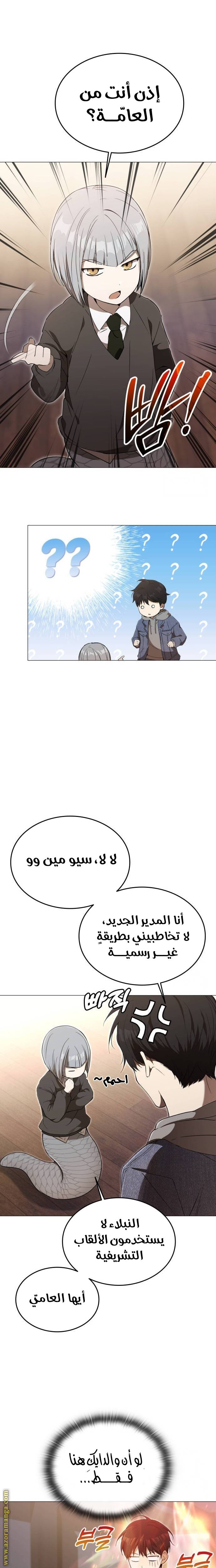 الصفحة 17