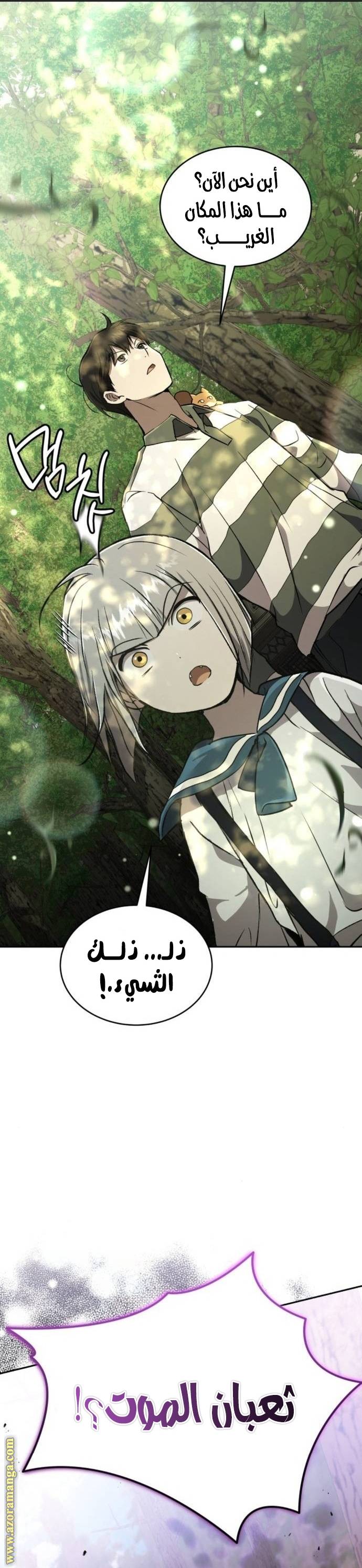 الصفحة 19