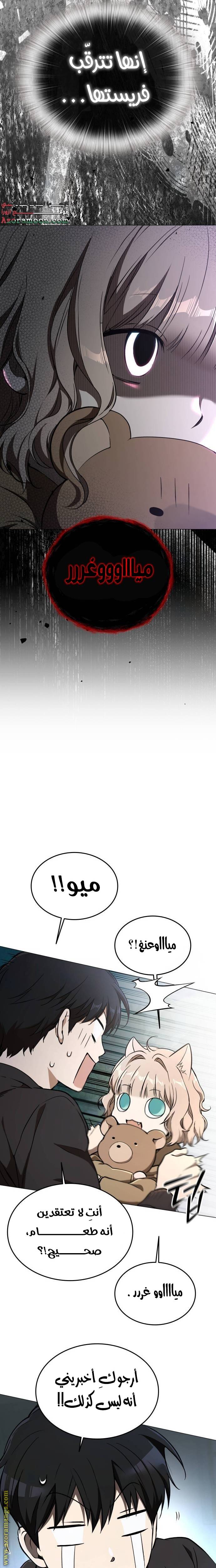 الصفحة 17
