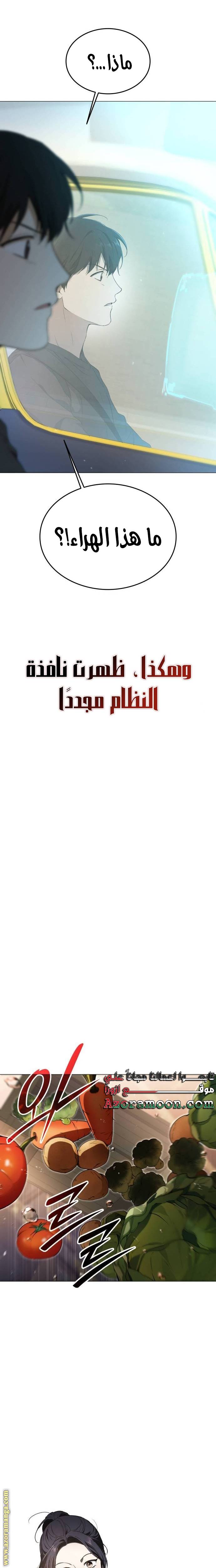 الصفحة 29
