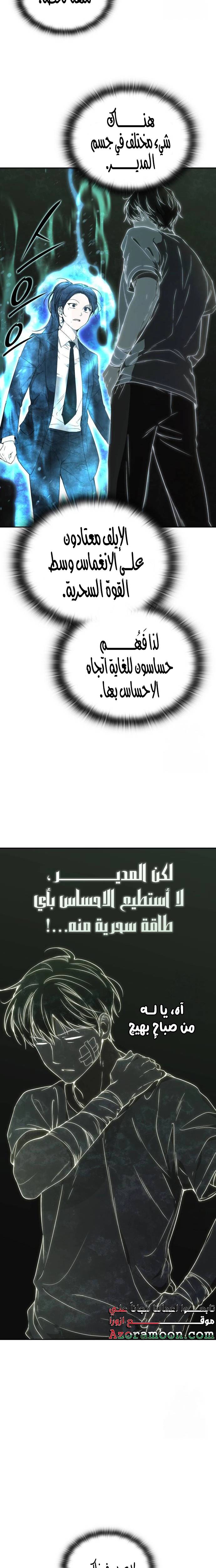 الصفحة 17