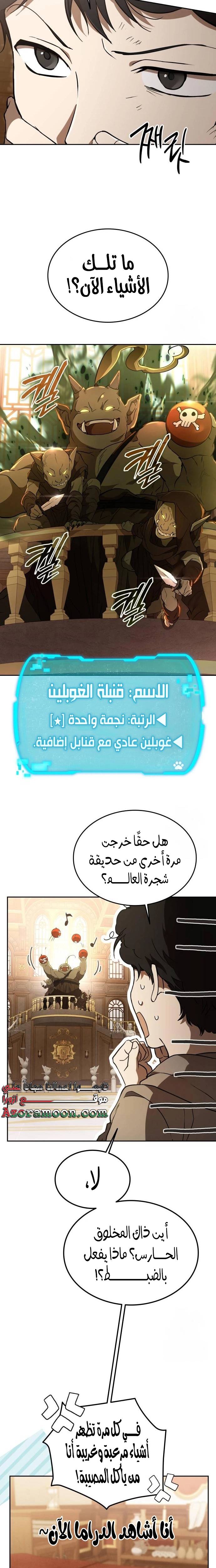 الصفحة 17
