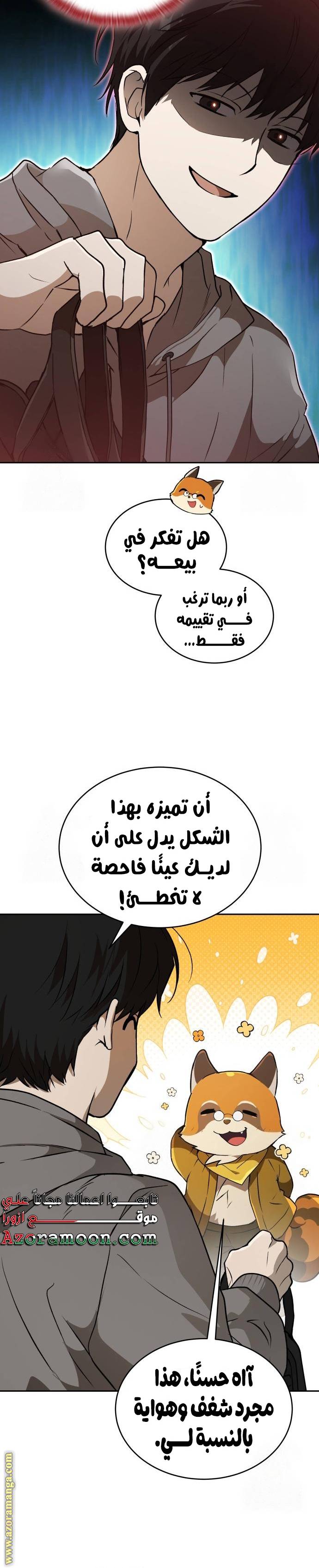 الصفحة 13
