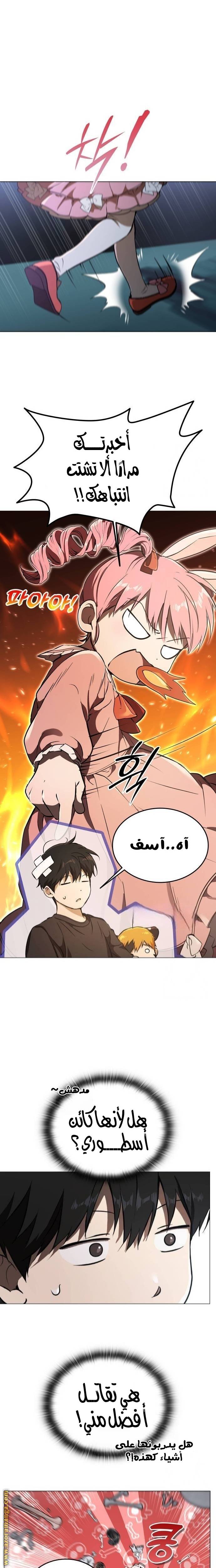 الصفحة 17