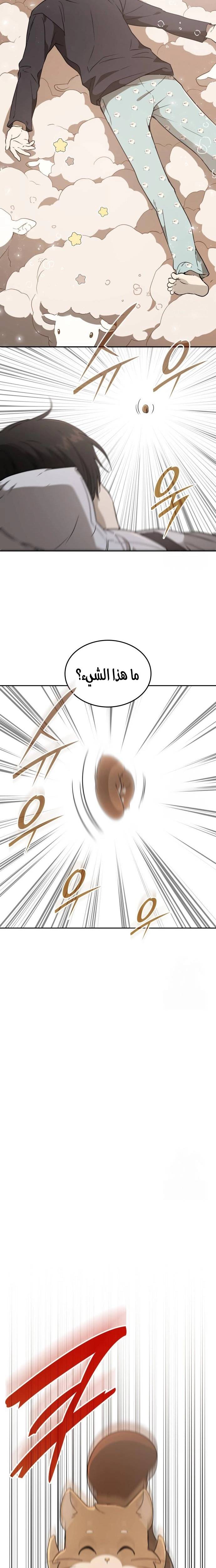 الصفحة 14