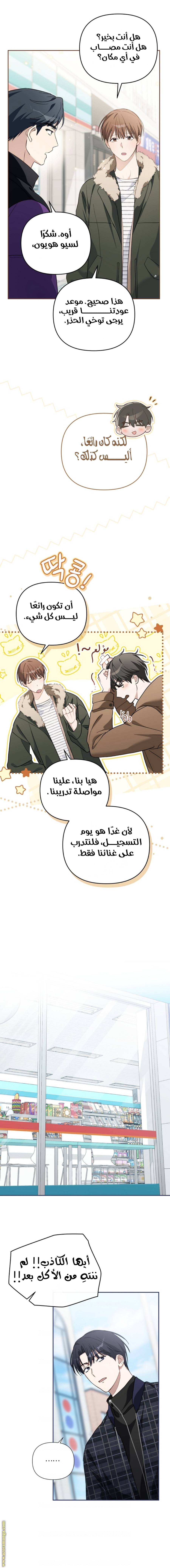 الصفحة 17