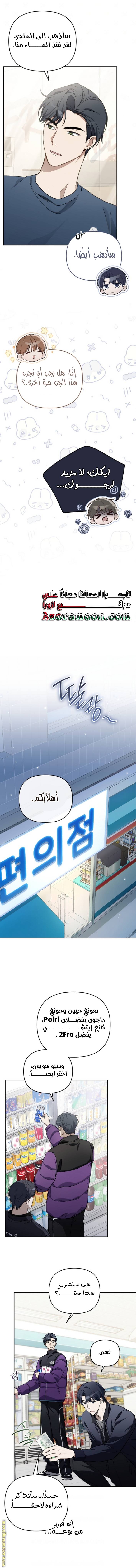 الصفحة 17