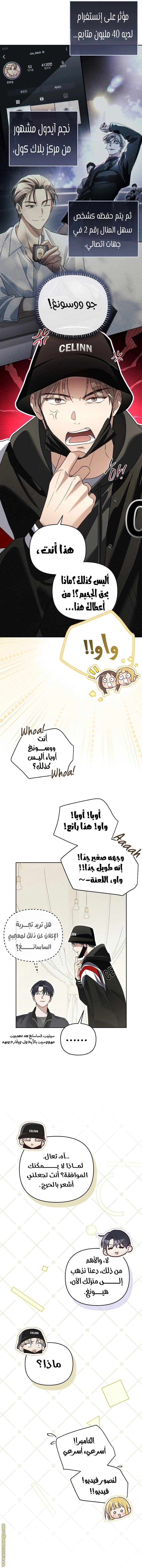 الصفحة 13