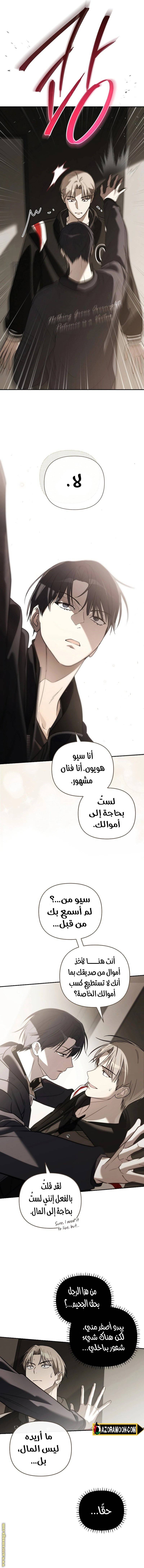 الصفحة 17