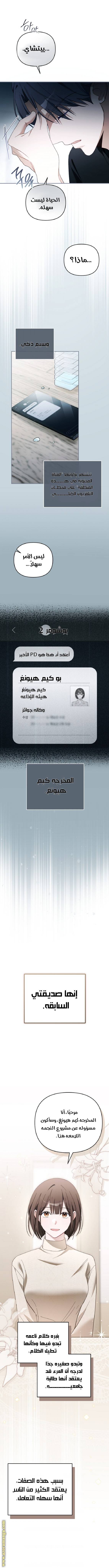 الصفحة 8