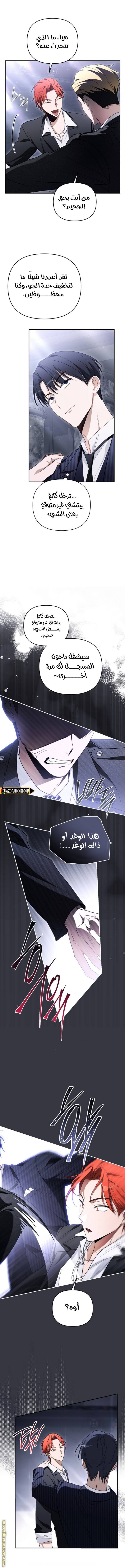 الصفحة 11