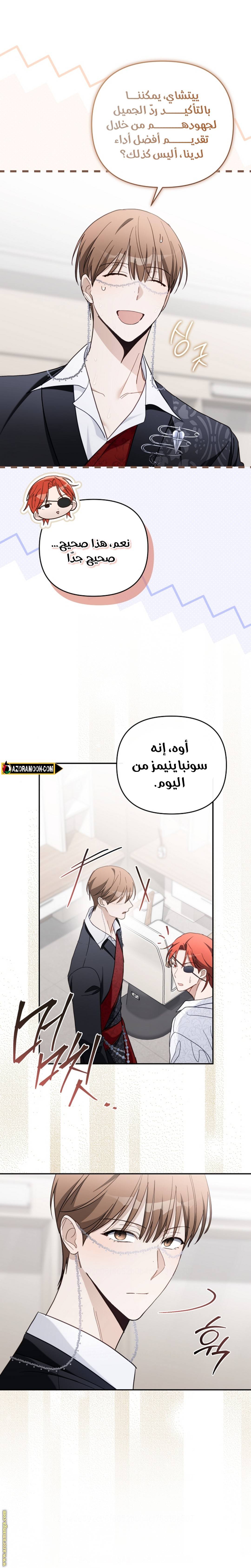 الصفحة 18