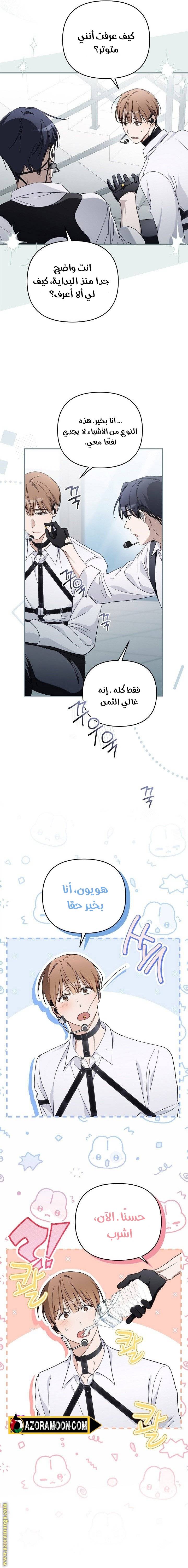 الصفحة 12