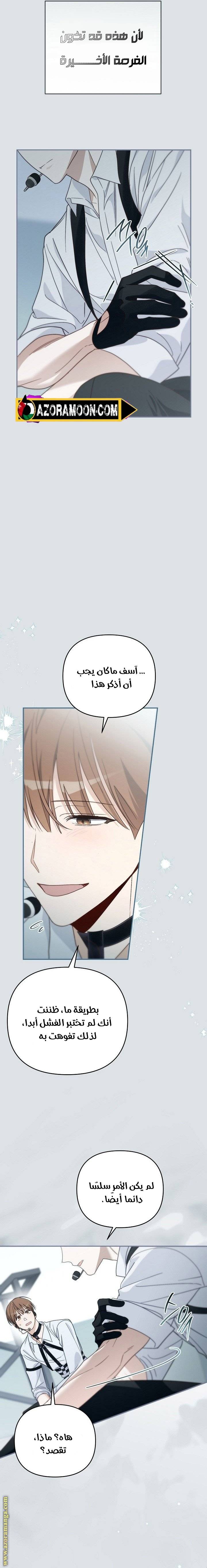 الصفحة 17
