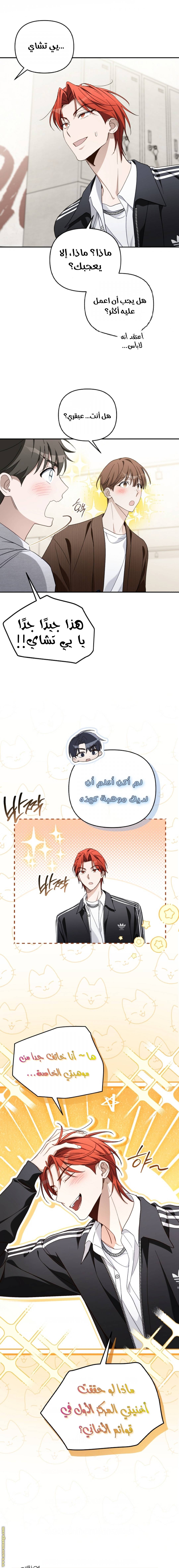 الصفحة 19