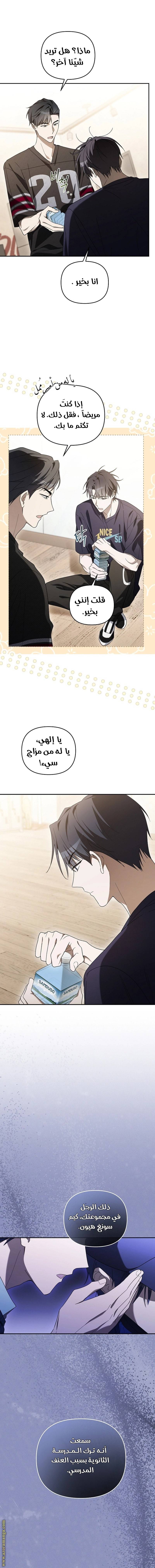 الصفحة 12