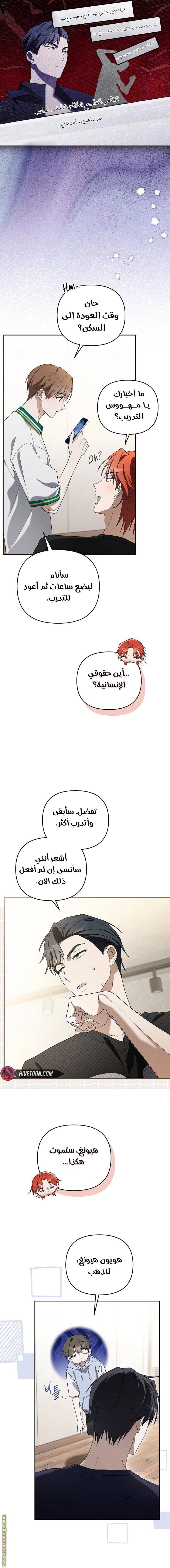 الصفحة 16
