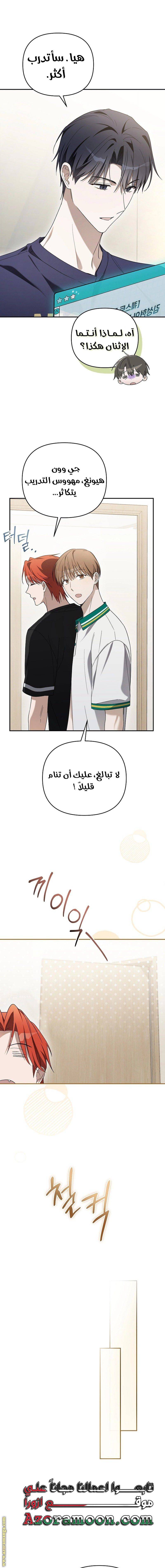 الصفحة 17