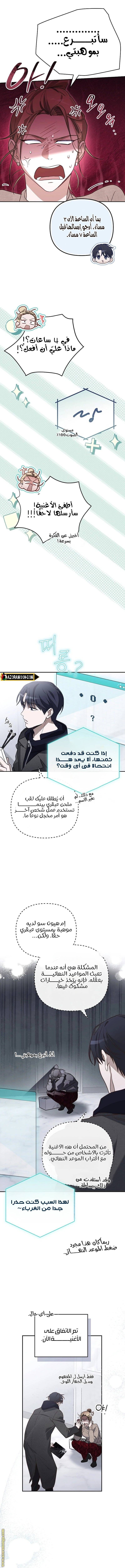 الصفحة 17
