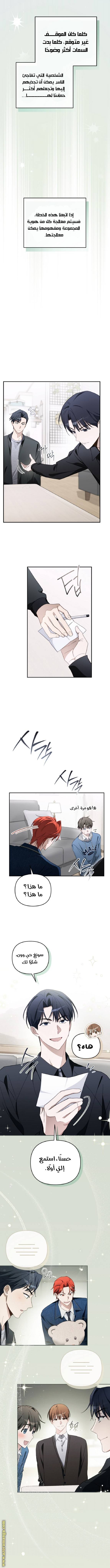 الصفحة 13