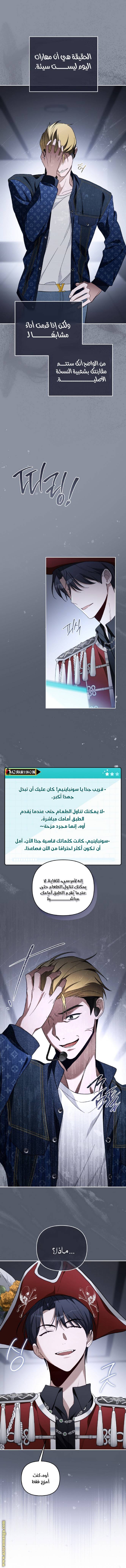 الصفحة 3