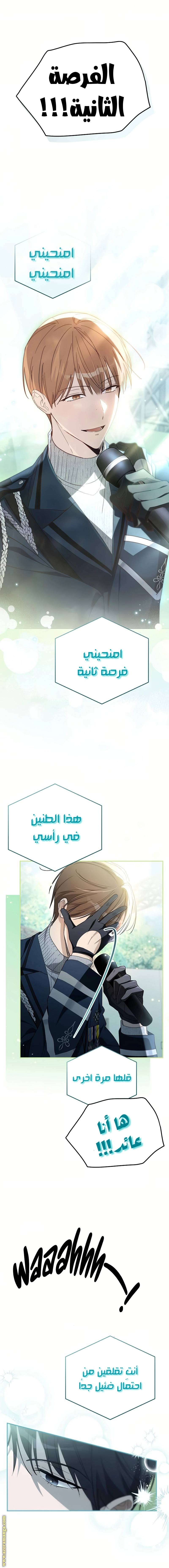 الصفحة 11