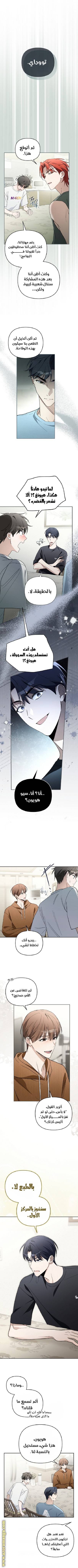 الصفحة 12