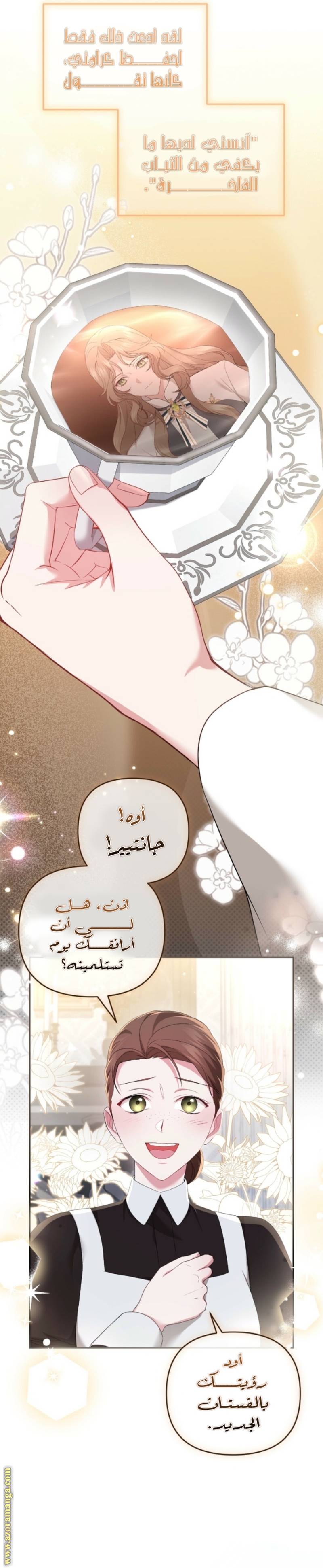 الصفحة 27