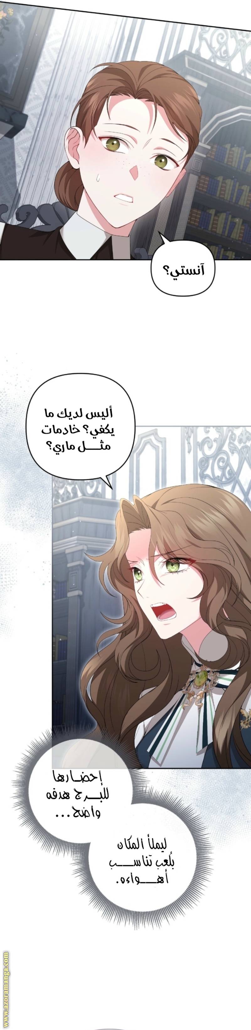 الصفحة 29