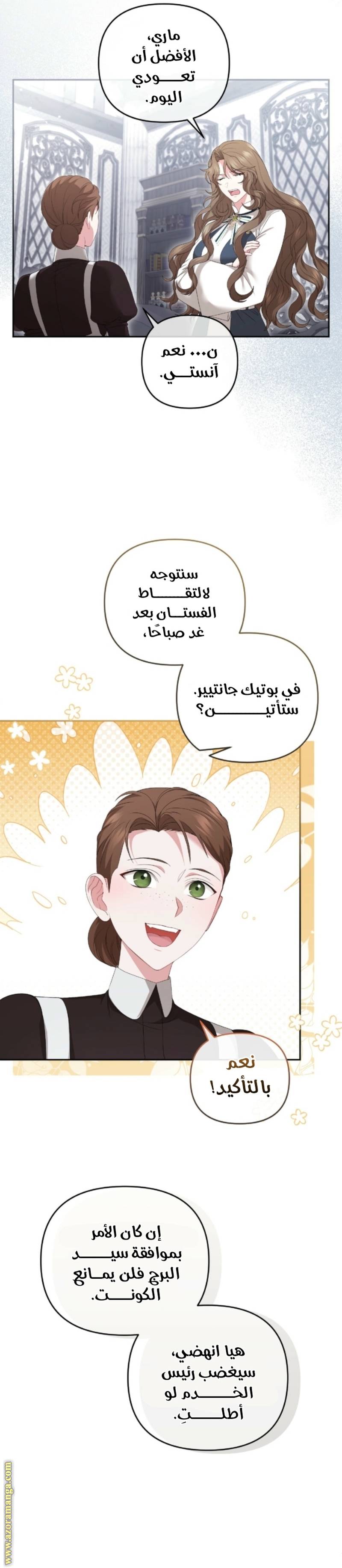 الصفحة 31