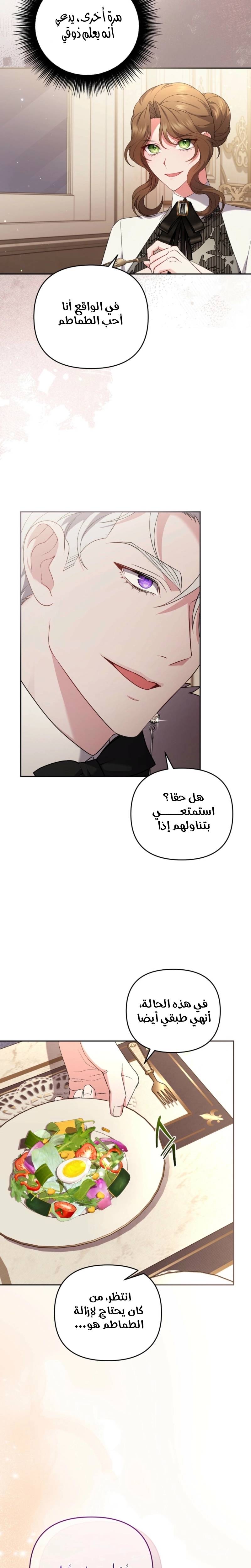 الصفحة 17