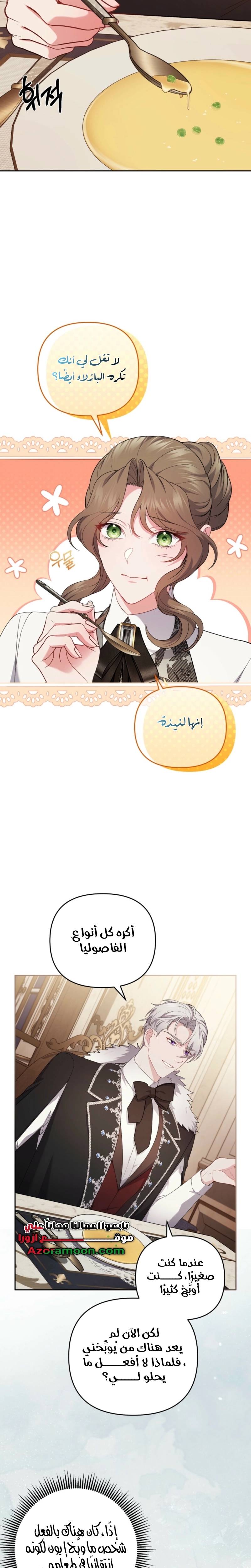 الصفحة 19