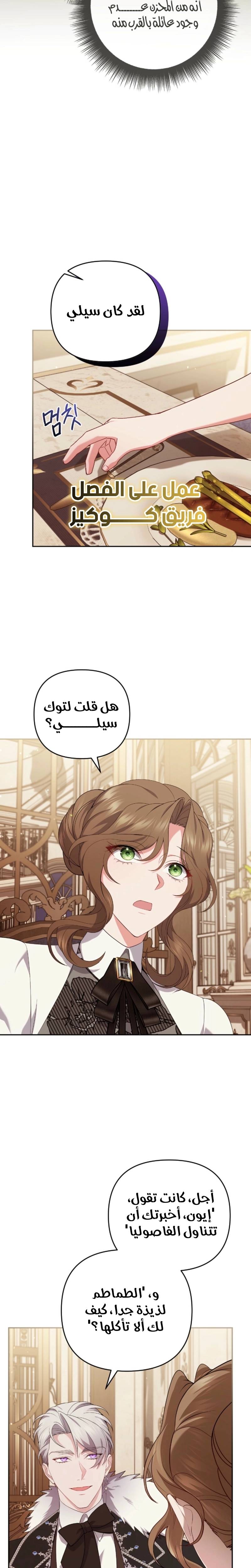 الصفحة 21