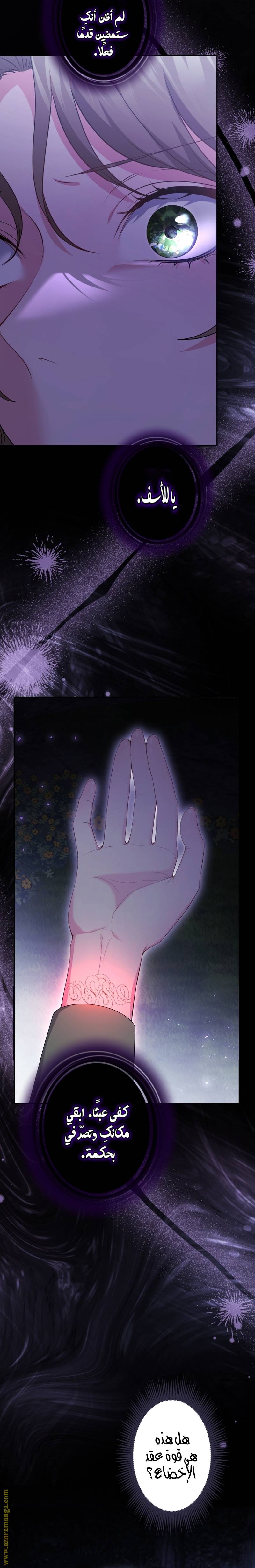 الصفحة 13