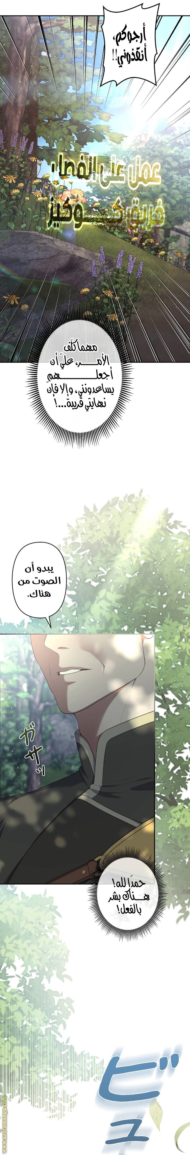 الصفحة 16