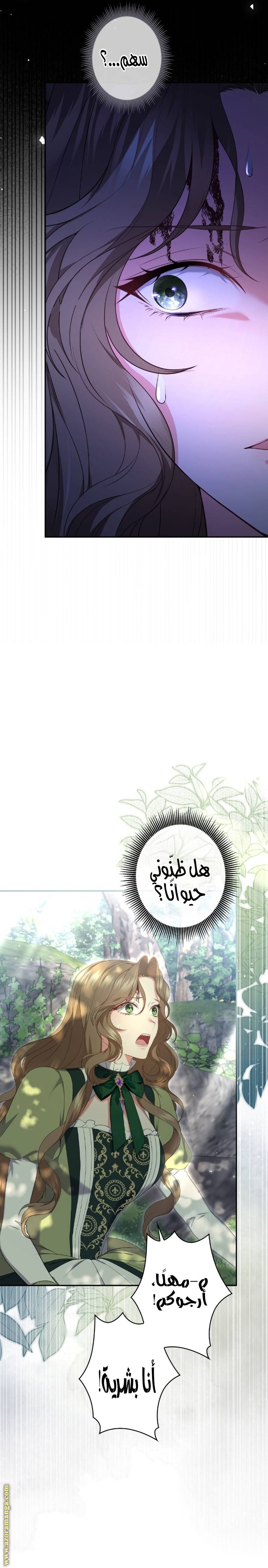 الصفحة 18