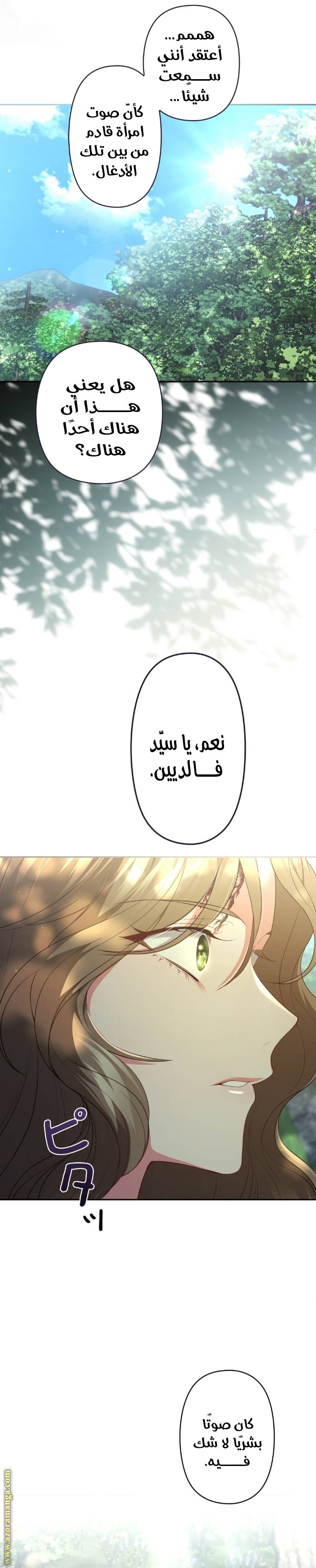 الصفحة 19